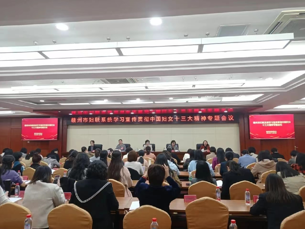 刘嫔在全市妇联系统学习宣传贯彻中国妇女十三大精神专题会议中做大会分享