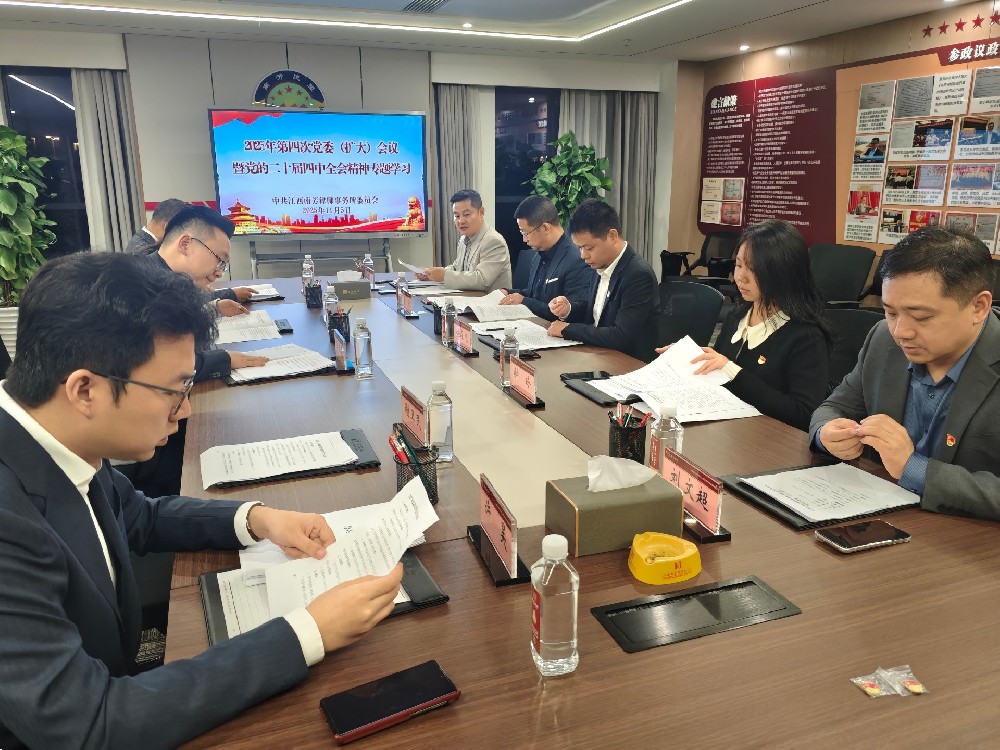 南芳党建：深学细悟，全面贯彻党的二十届四中全会精神